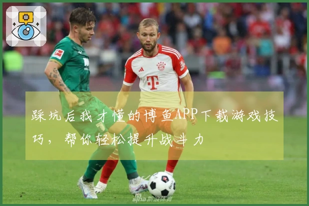踩坑后我才懂的博鱼APP下载游戏技巧，帮你轻松提升战斗力