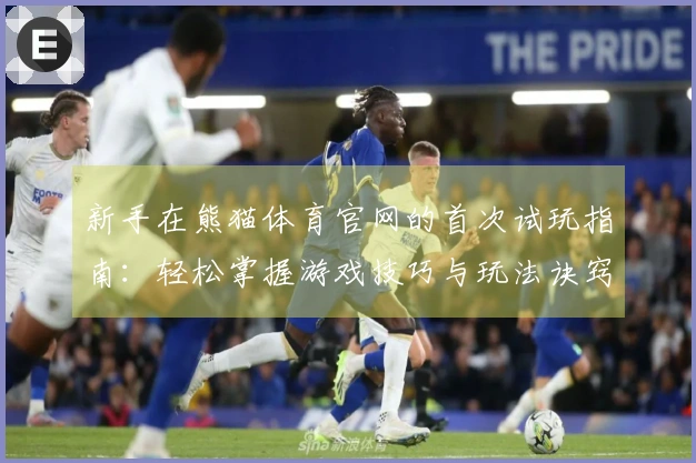 新手在熊猫体育官网的首次试玩指南：轻松掌握游戏技巧与玩法诀窍